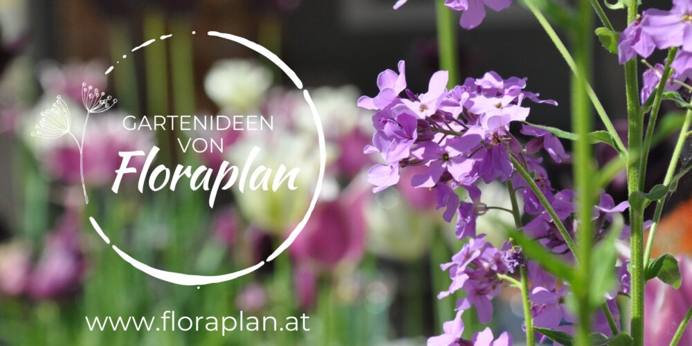 Gartenideen von Floraplan